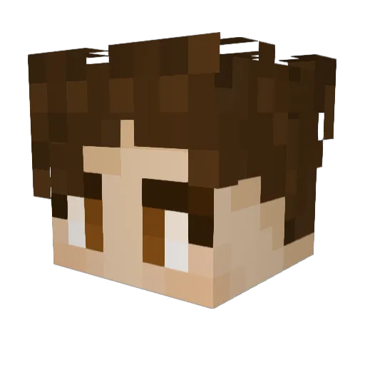 carms1 Minecraft avatar head, 3D render