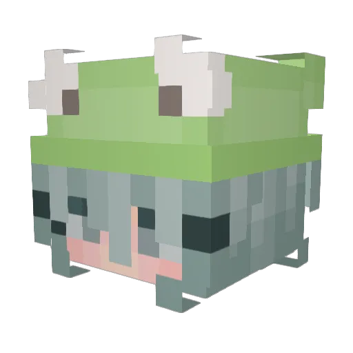 carmz2468 Minecraft avatar head, 3D render
