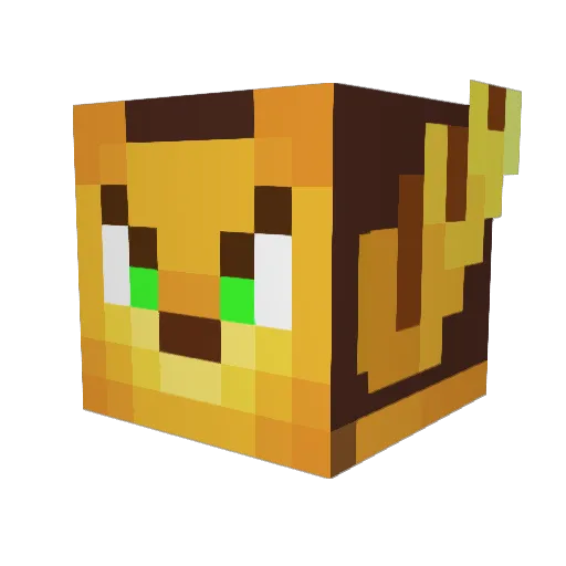 carnemolida23 Minecraft avatar head, 3D render