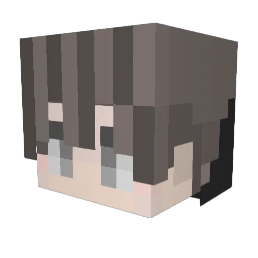 carnyburger Minecraft avatar head, 3D render