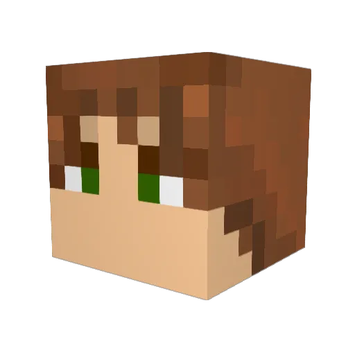 caro1807 Minecraft avatar head, 3D render
