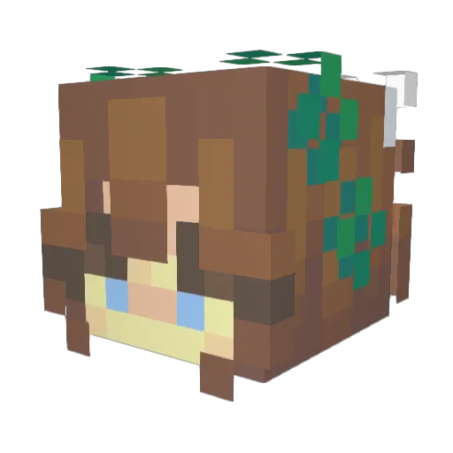 carolina___ Minecraft avatar head, 3D render