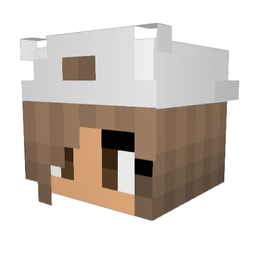 carolineee1102 Minecraft avatar head, 3D render