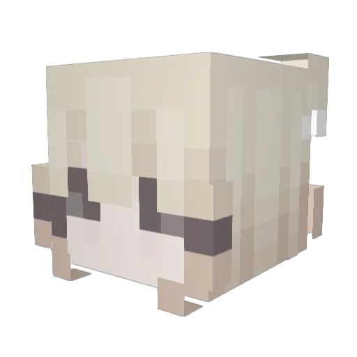 carolmirabamba Minecraft avatar head, 3D render