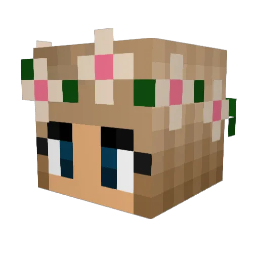 carolzinha_ Minecraft avatar head, 3D render