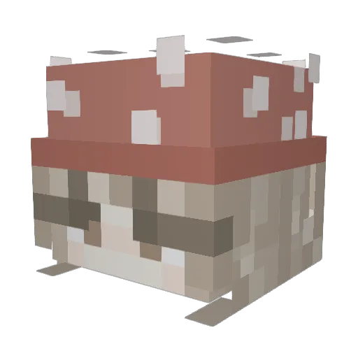 carowiwii Minecraft avatar head, 3D render