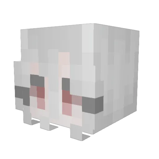 carpanya Minecraft avatar head, 3D render