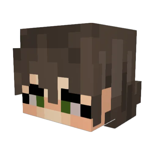 carpetm0ncher Minecraft avatar head, 3D render