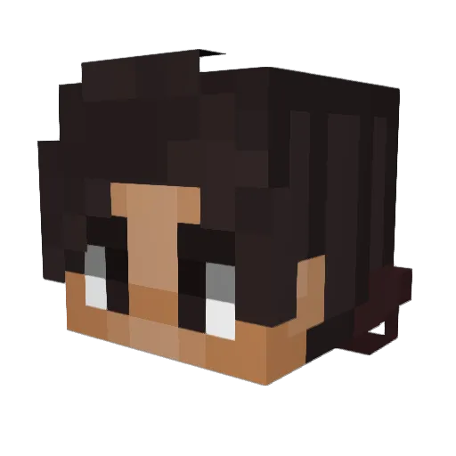 carpisawake Minecraft avatar head, 3D render