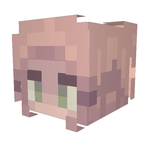 carriesmith888 Minecraft avatar head, 3D render