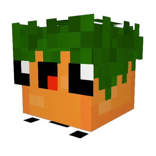 carrot33 Minecraft avatar head, 3D render