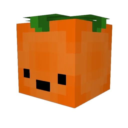 carrotcan Minecraft avatar head, 3D render