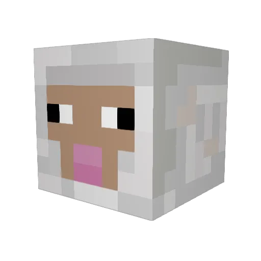 carrotchild Minecraft avatar head, 3D render