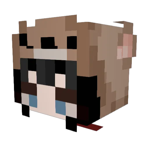 carrotqt Minecraft avatar head, 3D render