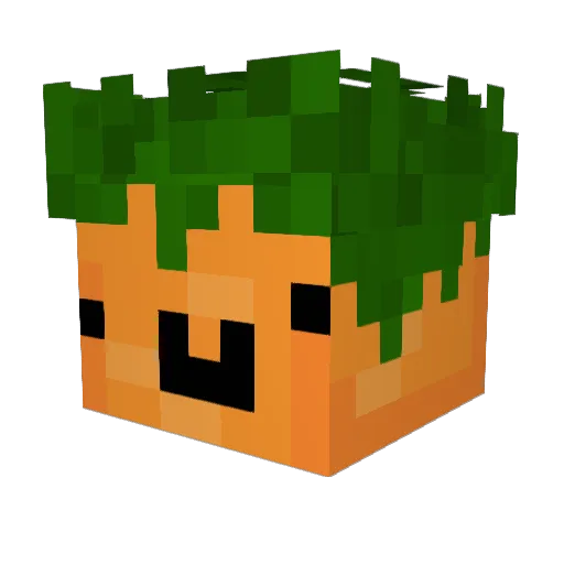carrotssss Minecraft avatar head, 3D render