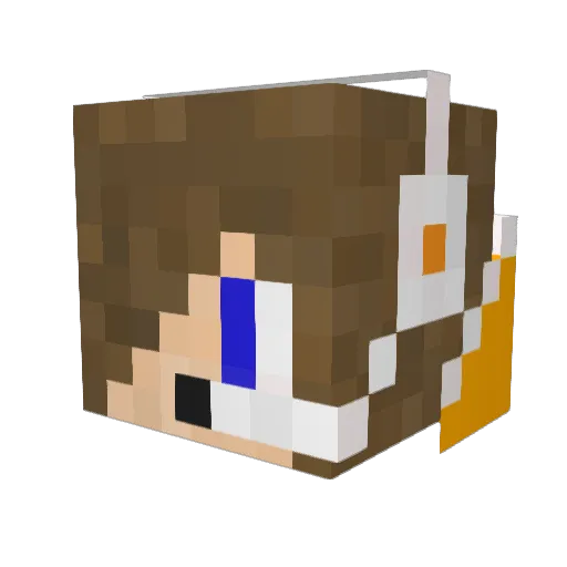 carsonjett123 Minecraft avatar head, 3D render