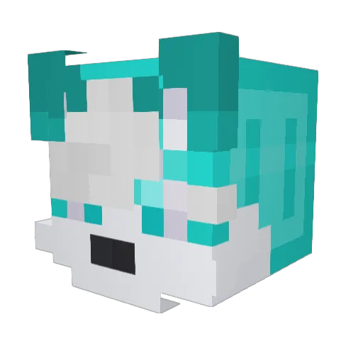 carter_5069 Minecraft avatar head, 3D render