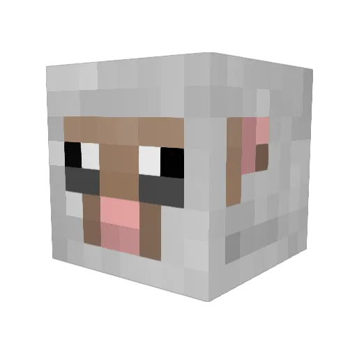 carterboy777 Minecraft avatar head, 3D render