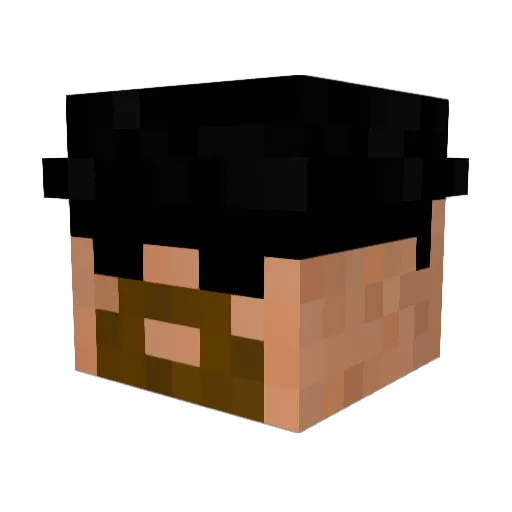 carterbraune Minecraft avatar head, 3D render