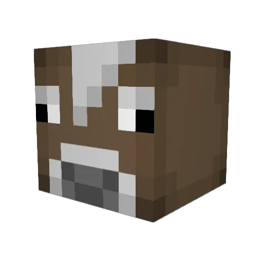 cartertheminor Minecraft avatar head, 3D render