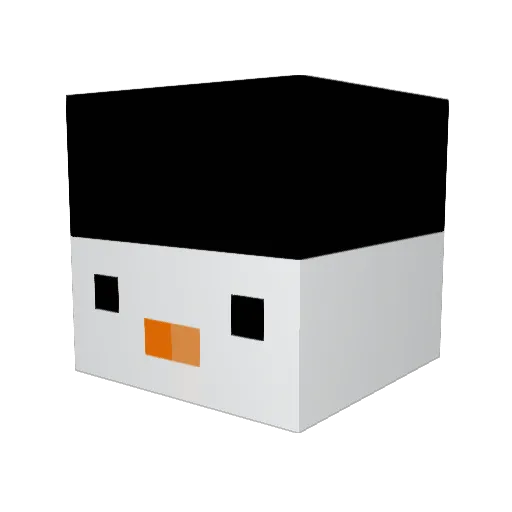 cartertmw1 Minecraft avatar head, 3D render