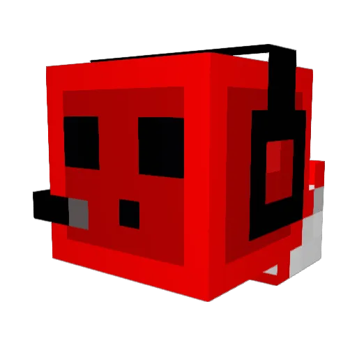 cartertomb Minecraft avatar head, 3D render