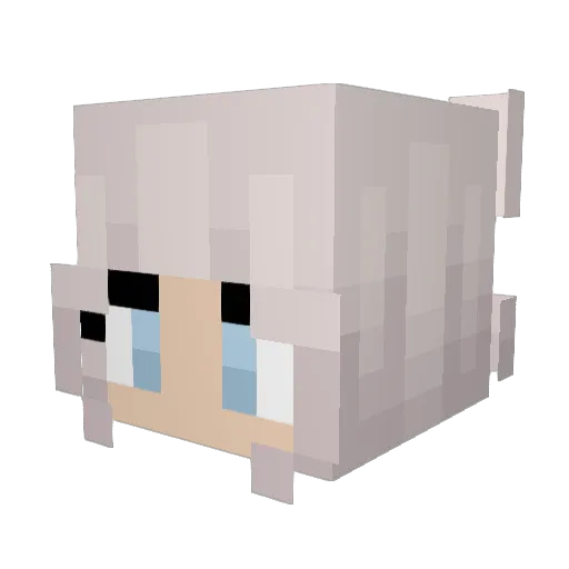 cartooga Minecraft avatar head, 3D render