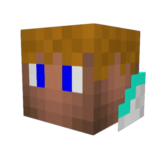 carwin99 Minecraft avatar head, 3D render