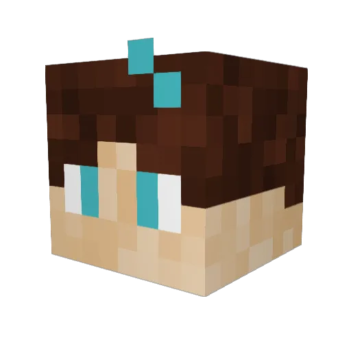 cas234 Minecraft avatar head, 3D render