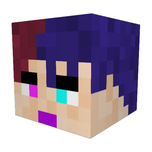 cas_and_lux Minecraft avatar head, 3D render
