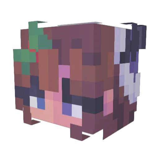 casanova1672 Minecraft avatar head, 3D render
