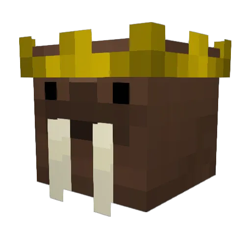 casarow9 Minecraft avatar head, 3D render