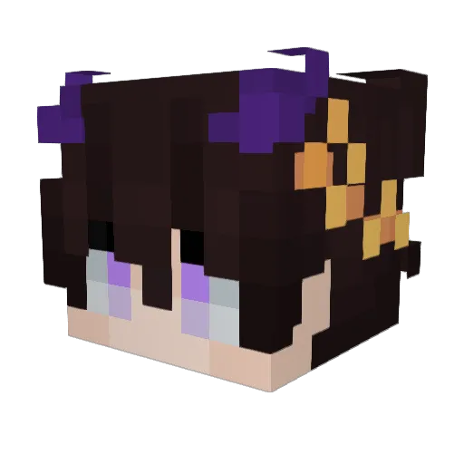 casbrrr Minecraft avatar head, 3D render