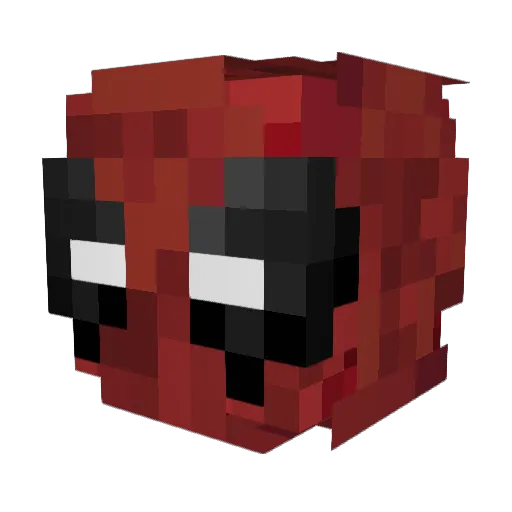 cascalhoo Minecraft avatar head, 3D render