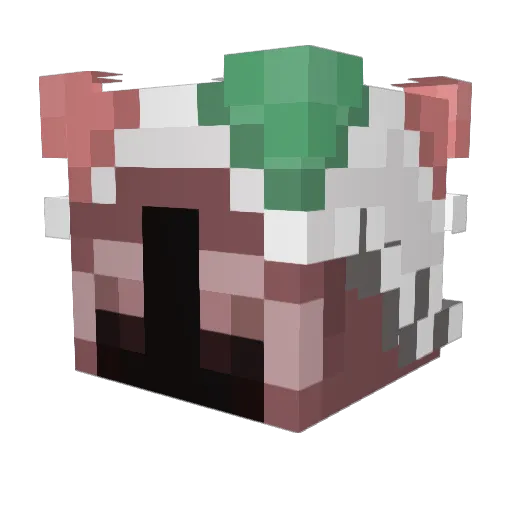 case_painter_x Minecraft avatar head, 3D render