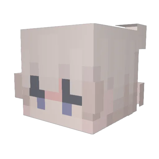 casebus Minecraft avatar head, 3D render