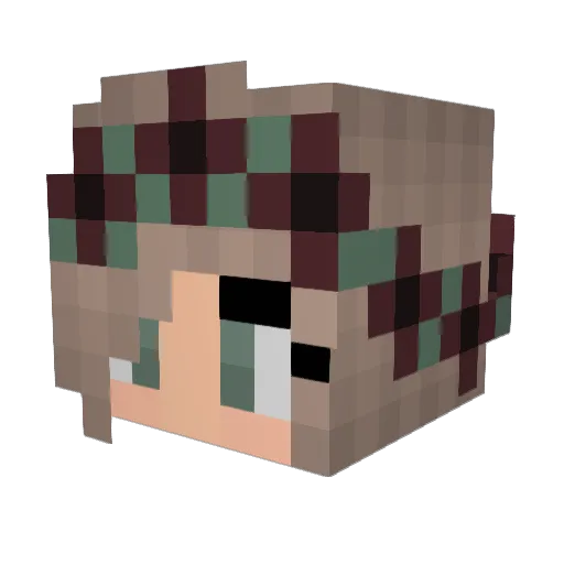 casedawg20 Minecraft avatar head, 3D render