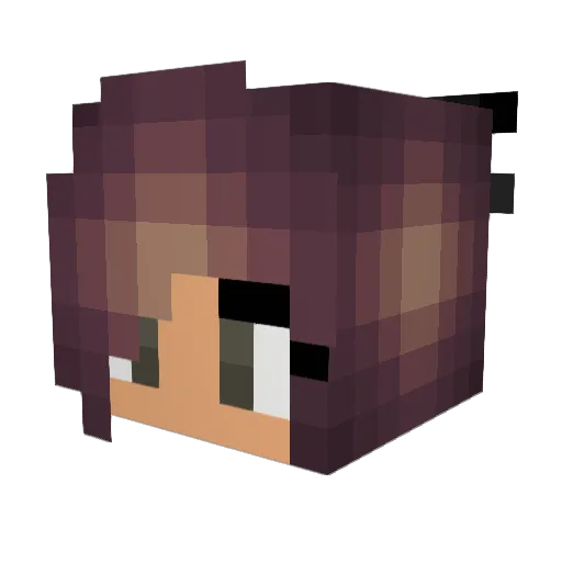 casena Minecraft avatar head, 3D render
