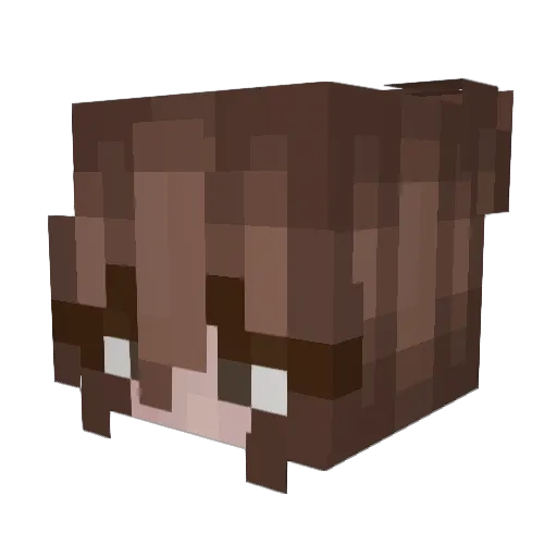 caseriin Minecraft avatar head, 3D render