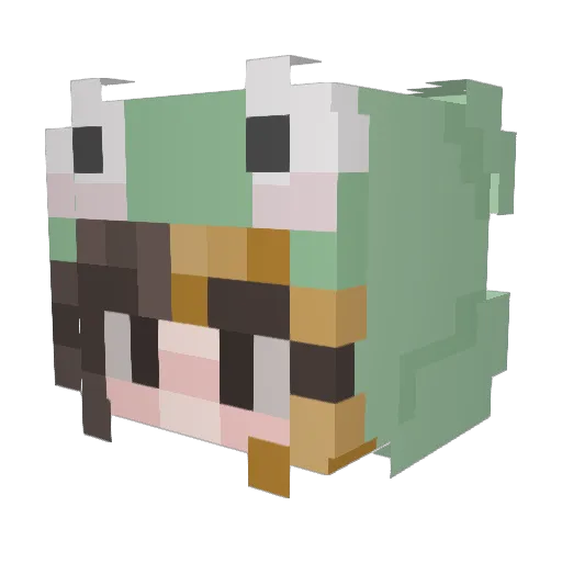 caseyzzz Minecraft avatar head, 3D render