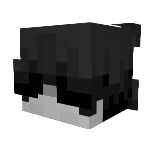 cash13rs Minecraft avatar head, 3D render