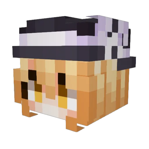 cashleyD Minecraft avatar head, 3D render