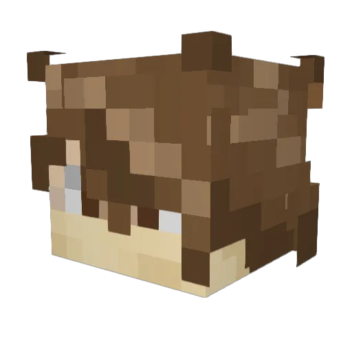 cashy288 Minecraft avatar head, 3D render