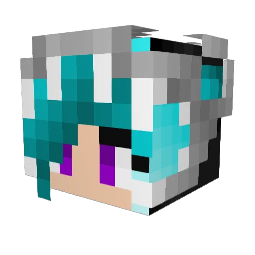 casianap Minecraft avatar head, 3D render