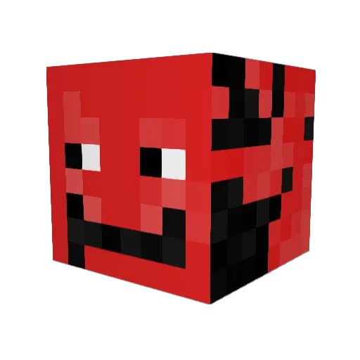 casimir14 Minecraft avatar head, 3D render