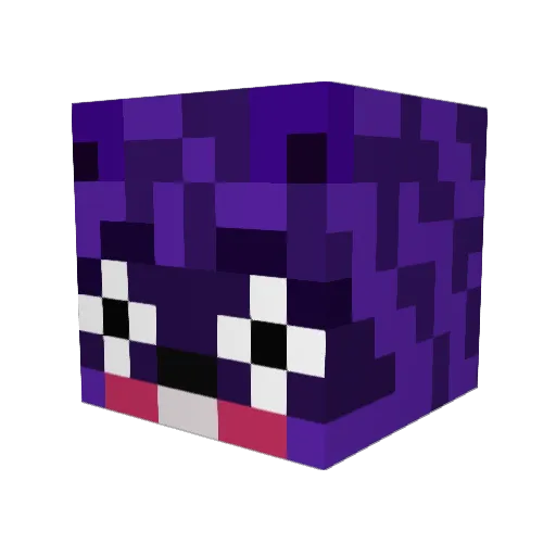 casketking00 Minecraft avatar head, 3D render