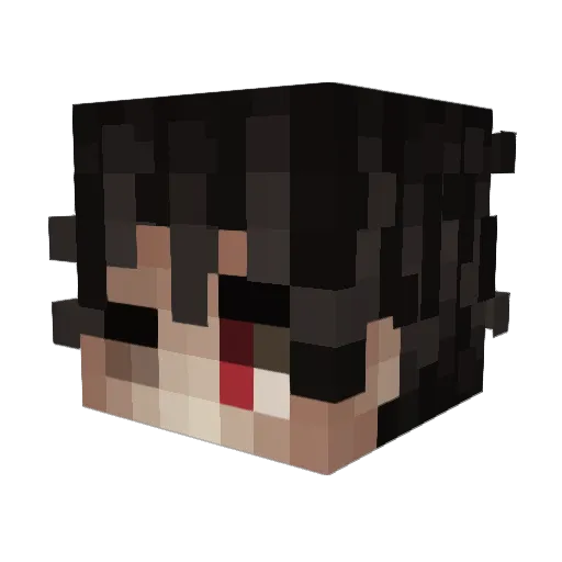 casoarquivado Minecraft avatar head, 3D render