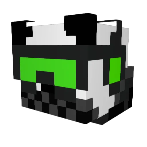 casonr123 Minecraft avatar head, 3D render