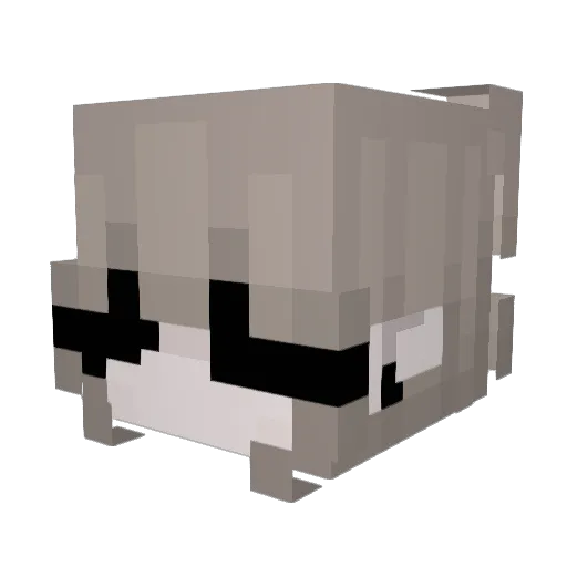 caspelus Minecraft avatar head, 3D render