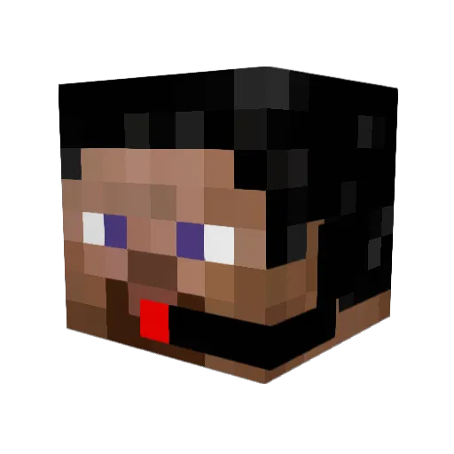 caspian123456 Minecraft avatar head, 3D render